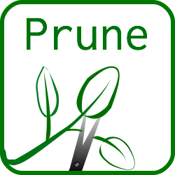 Prune Logo